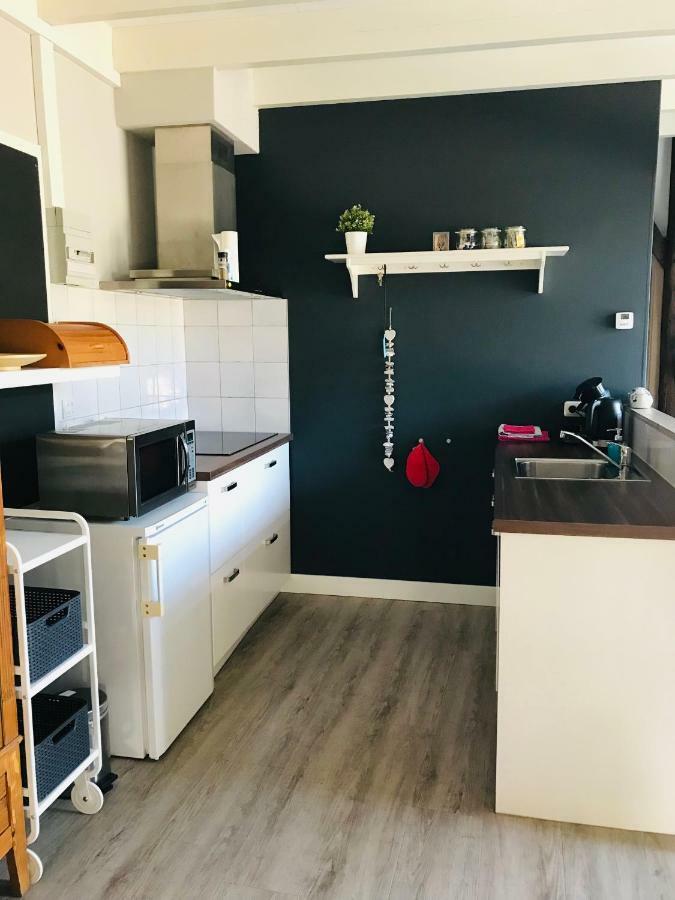 Het Achterhuis - Buitenplaats Ruitenveen, Prive! Nieuwleusen エクステリア 写真